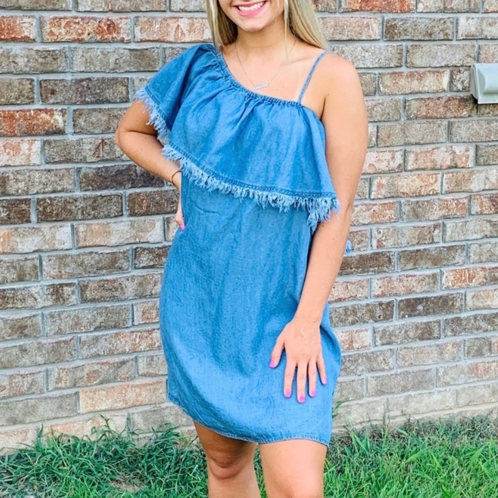 Splendid Ruffled Fringe One Shoulder Denim Dress M